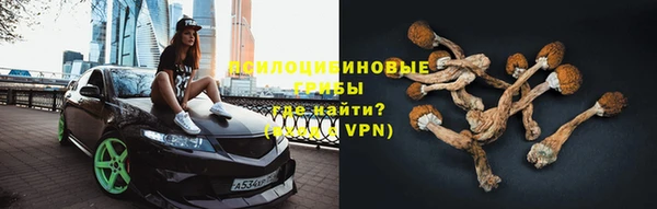 спиды Касимов