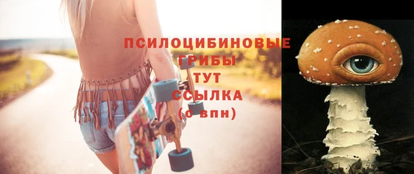 гашик Киренск