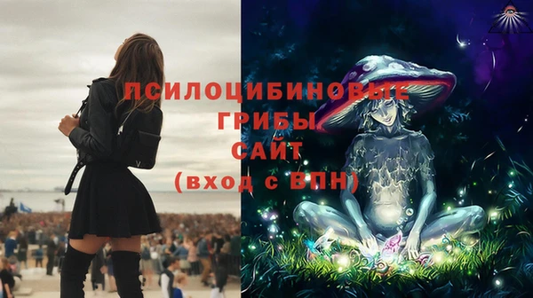 гашик Киренск