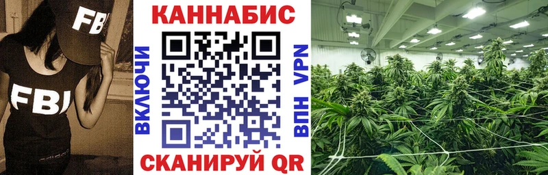 Купить где  Заозёрный  Каннабис план 